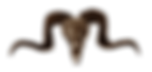 Horns_Color.png